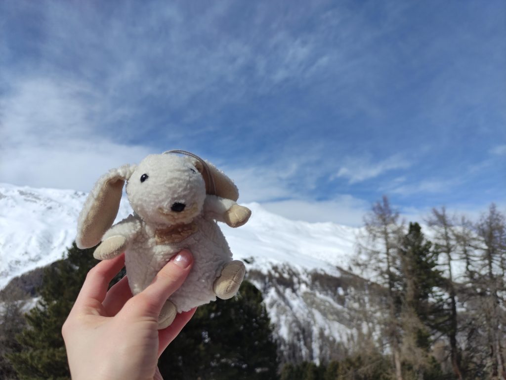 Guildo an der frischen Luft