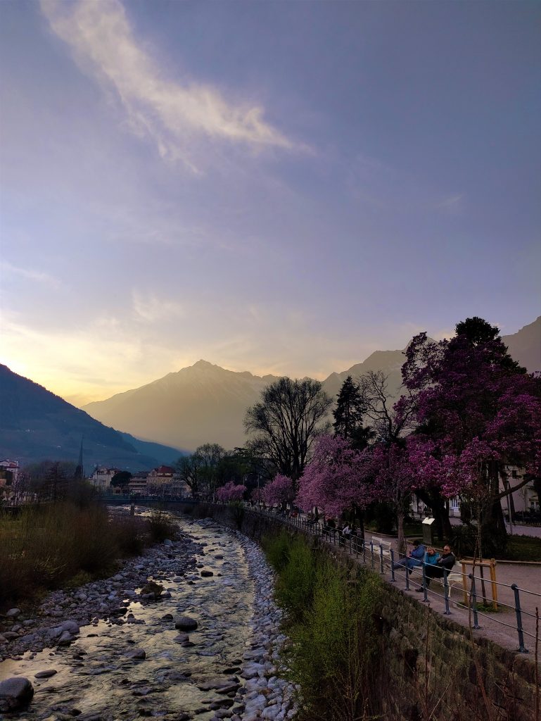 Frühling in Meran - 2