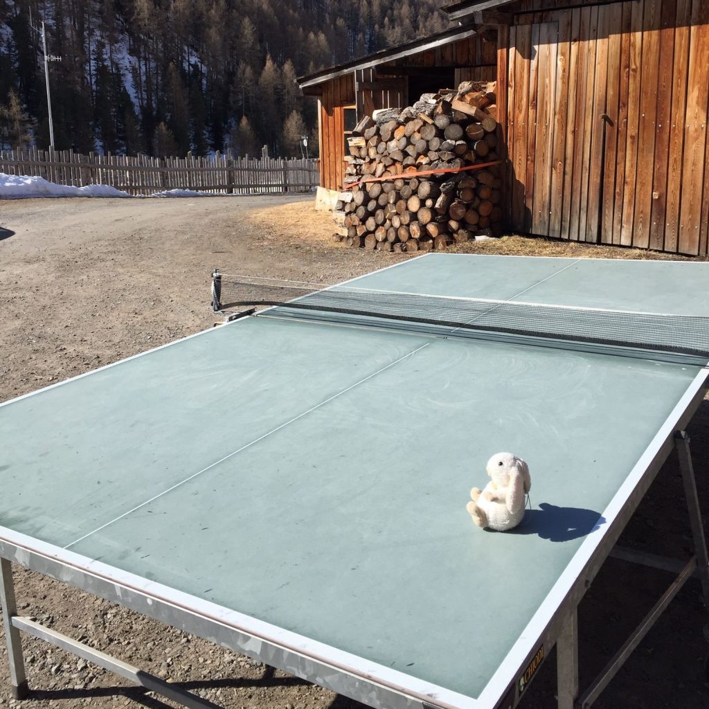 Guildo beim Tischtennis