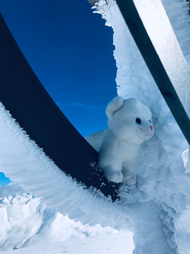 Das Porschl auf dem Grionkopf