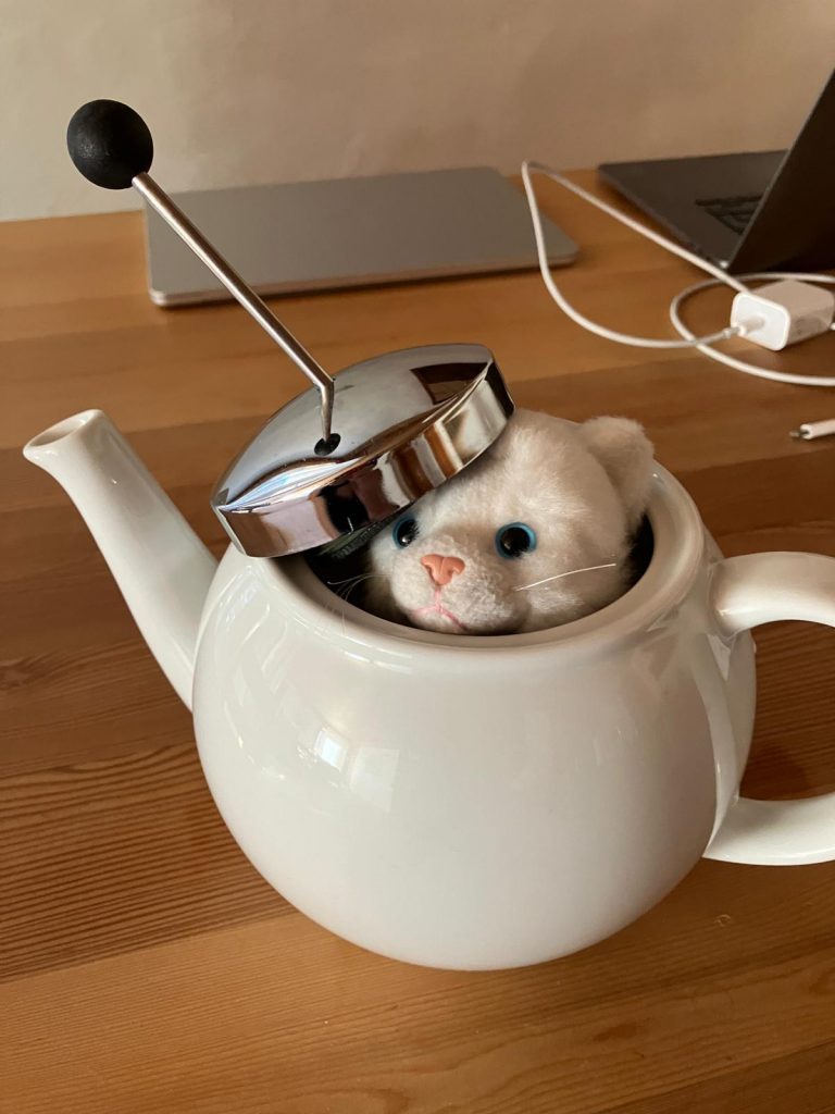 Das Porschl beim Versteckspiel