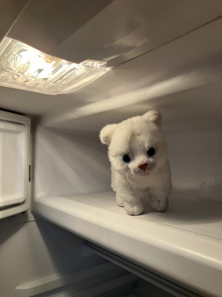 Das Porschl im Eisfach