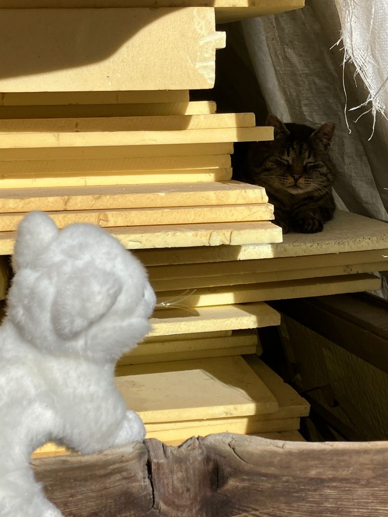 Das Porschl mit Katze