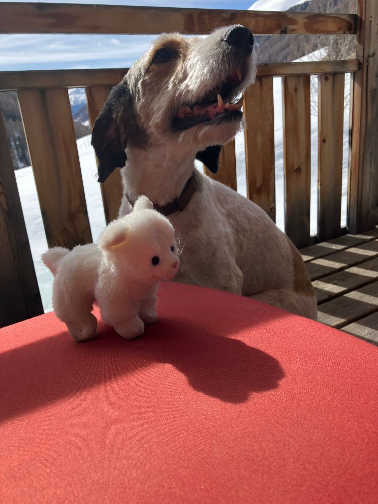 Das Porschl mit Hund